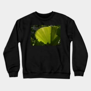 Fan Plant Crewneck Sweatshirt